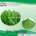 Hot selling Barley Grass extract powder for anti-oxidation